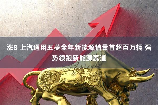 涨8 上汽通用五菱全年新能源销量首超百万辆 强势领跑新能源赛道