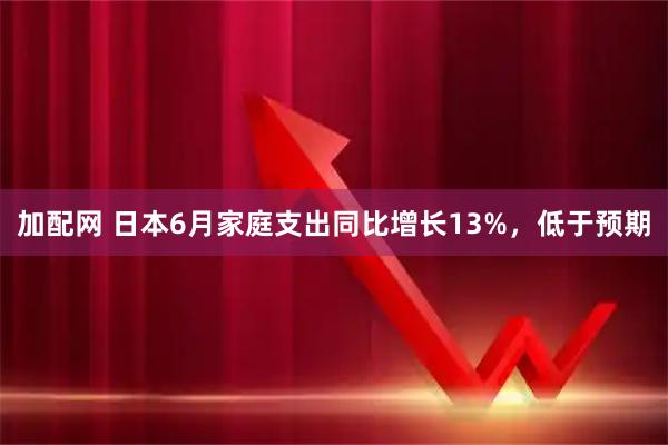 加配网 日本6月家庭支出同比增长13%，低于预期
