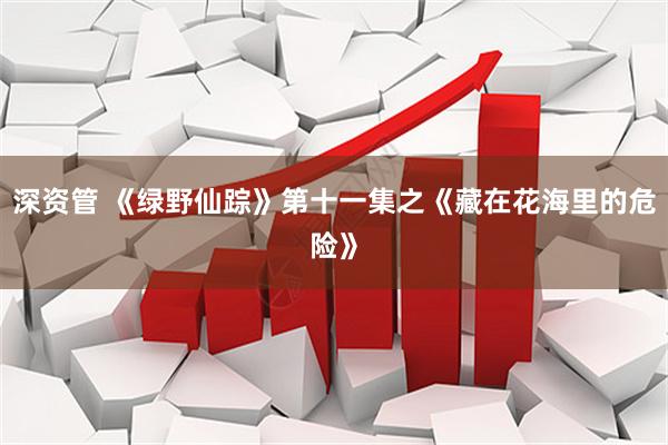 深资管 《绿野仙踪》第十一集之《藏在花海里的危险》