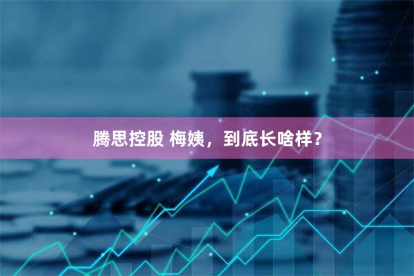 腾思控股 梅姨，到底长啥样？
